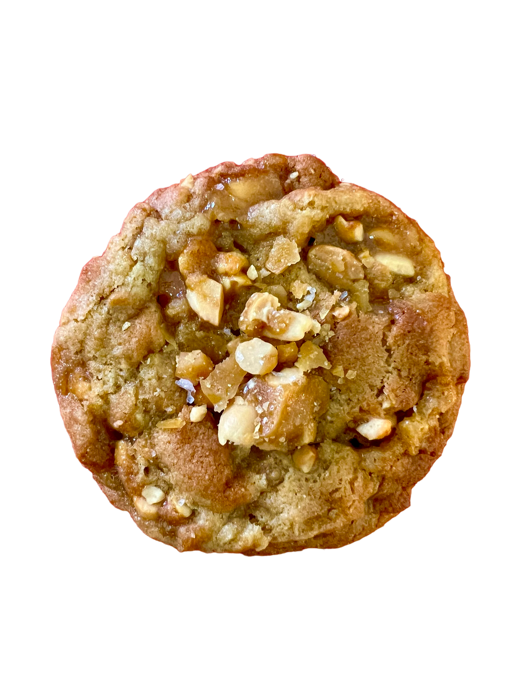 DEC 4 - Salted Peanut Brittle